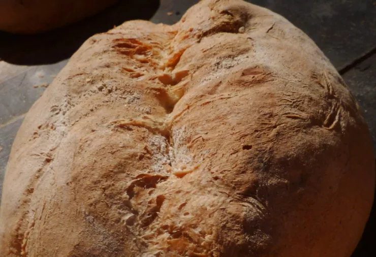 Stage pain et brioche